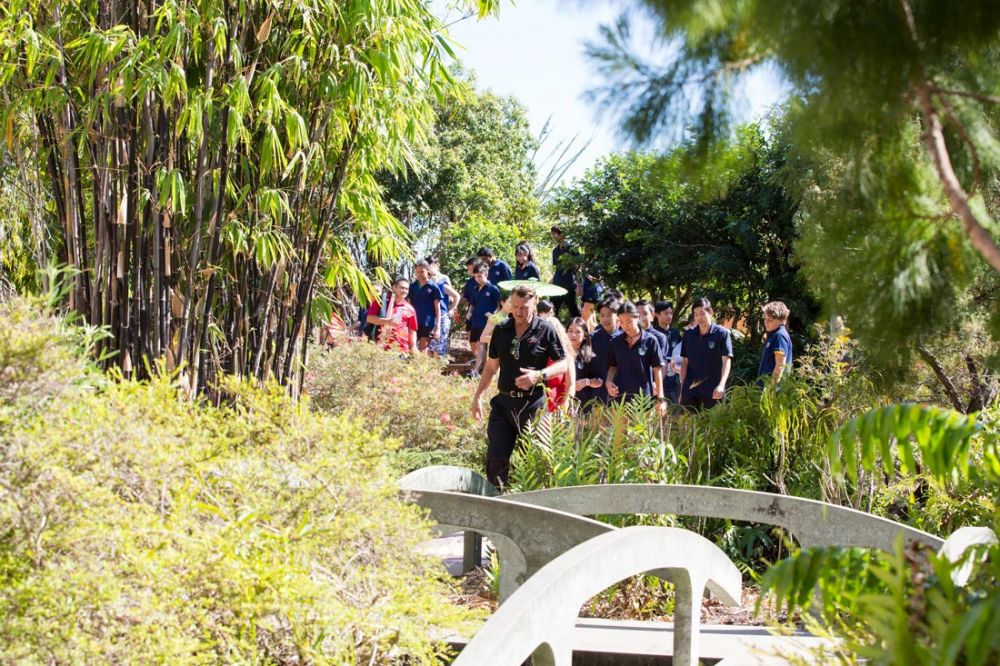 Partnerships Partnerships