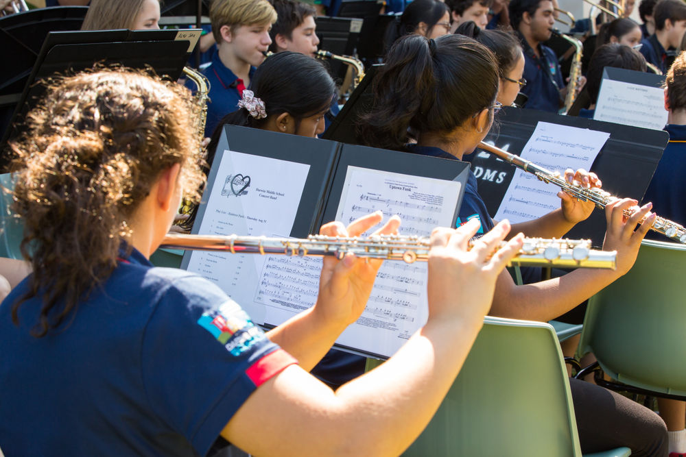 Music at Darwin Middle School Music at Darwin Middle School